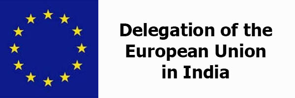 EU logo delegation